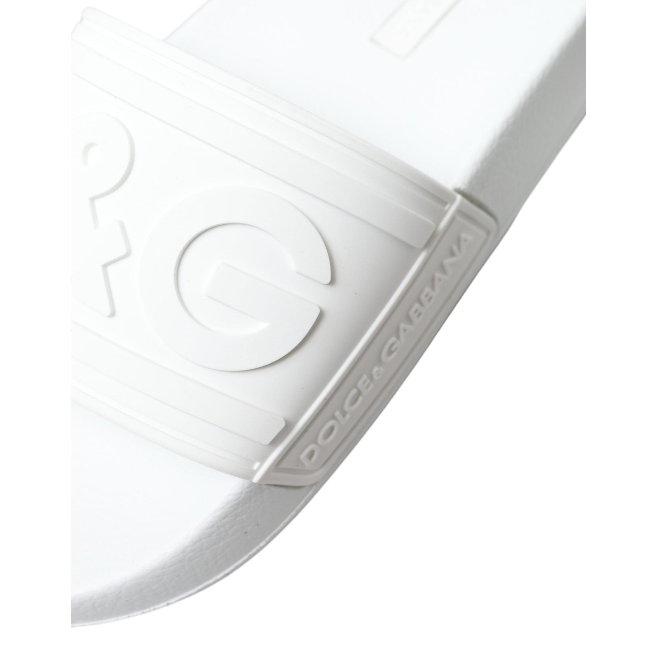 Elegant White Logo Slides