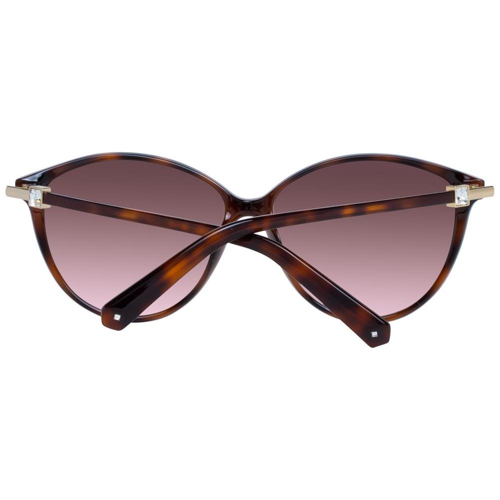 Brown Women Sunglasses