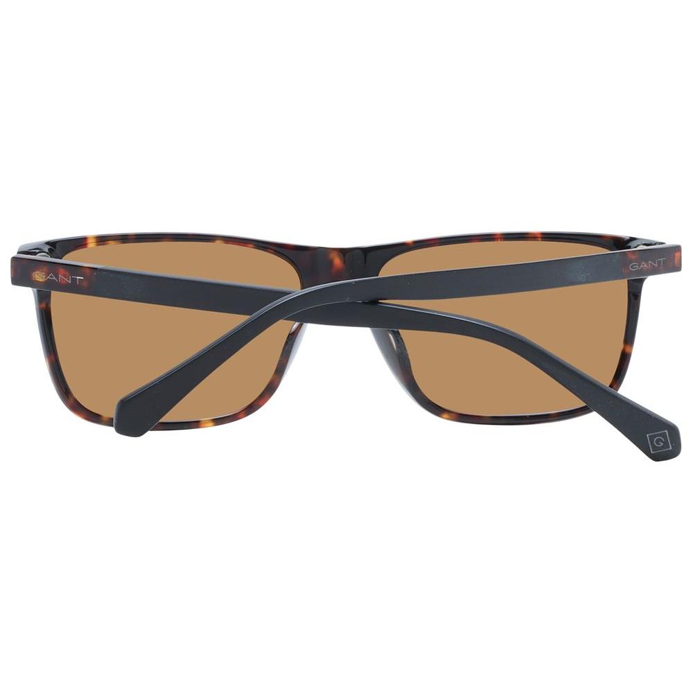 Brown Men Sunglasses