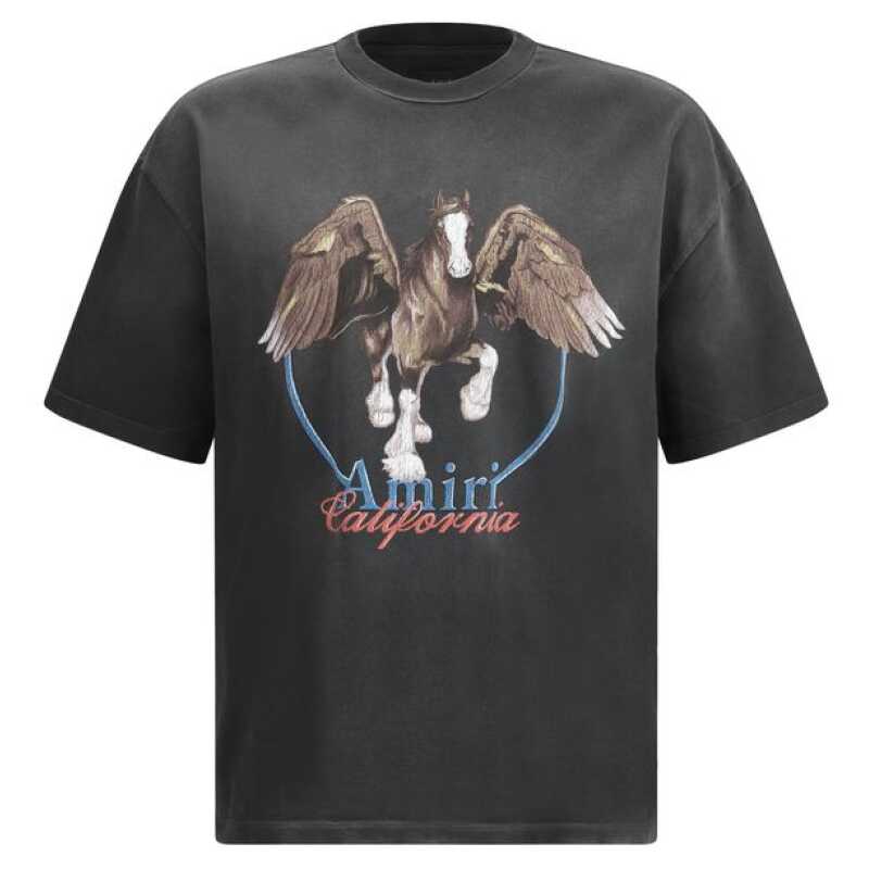 Amiri Pegaso T-Shirt, theFeinheit