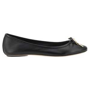 Chloé Iris Ballerinas