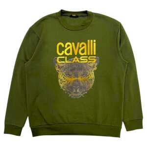 Cavalli Class Green Polyester Men Sweater