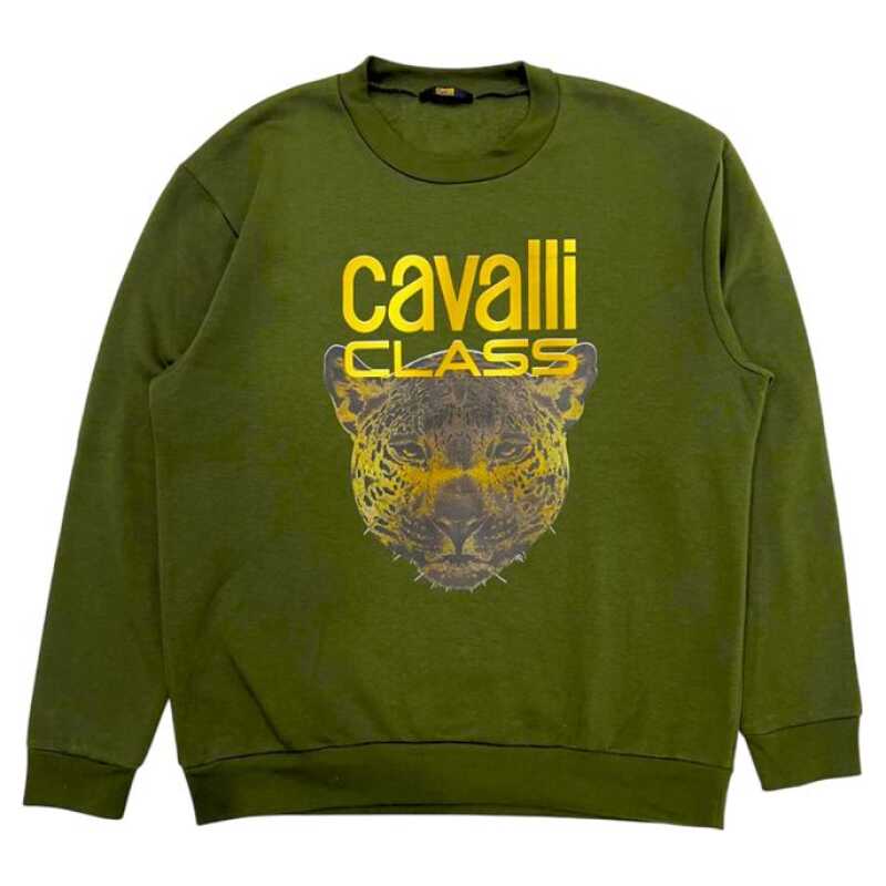 Cavalli Class Green Polyester Men Sweater, theFeinheit