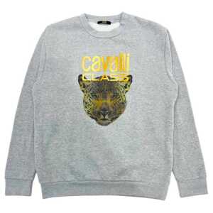 Cavalli Class Gray Polyester Women Sweater