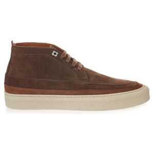Lardini Elegant Suede Sneakers in Rich Brown