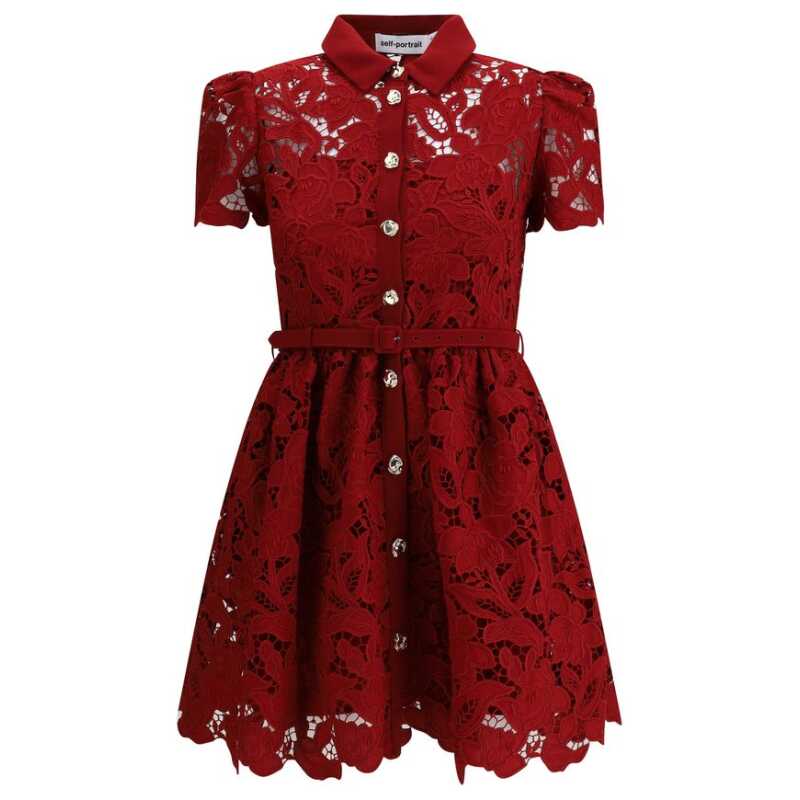 Self-Portrait Embroidered short Dress, theFeinheit