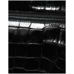 Balenciaga Elegant Exotic Leather Camera Bag 5