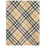 Burberry Reversible Waterproof Jacket 5