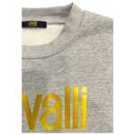 Cavalli Class Gray Polyester Men Sweater 3