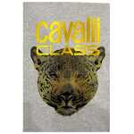 Cavalli Class Gray Polyester Men Sweater 4