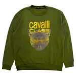 Cavalli Class Green Polyester Men Hoodie