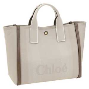 Chloe Carry Handbag 2