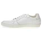 Roberto Cavalli White Leather Sneakers Luxe Footwear