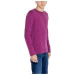 Tommy Hilfiger Jeans Purple Organic Cotton Sweater 3