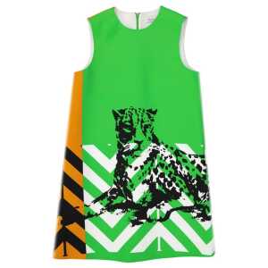 Dior Printed Mini Dress