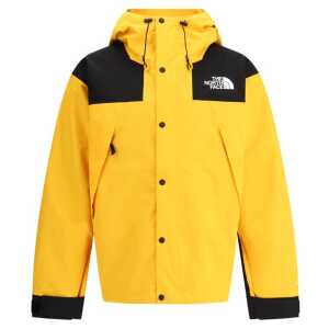The North Face Dryvent Mountain Waterproof Jacket