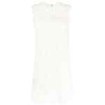 Dolce & Gabbana Sleeveless Lace Mini Dress