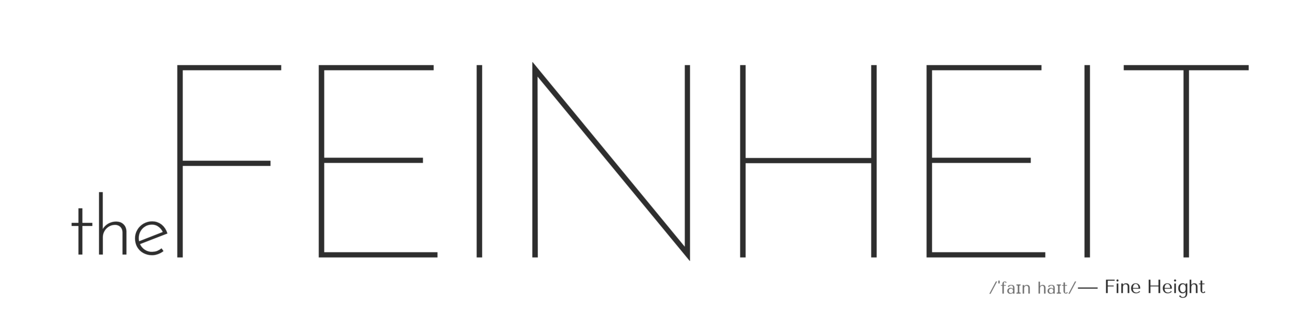 theFeinheit Logo