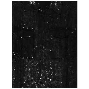P.A.R.O.S.H. Sequined shirt