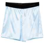 Tom Ford Shorts Clear Blue