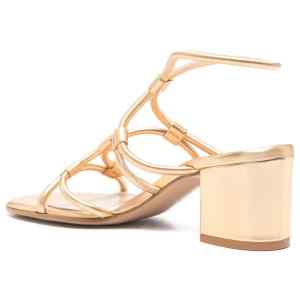 Gianvito Rossi Ankle Strap Heeled sandals