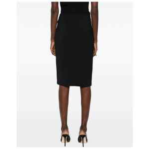 Elisabetta Franchi Skirts