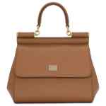 Dolce & Gabbana Bags.. Brown