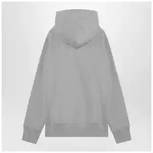 Champion Light grey cotton hoodie