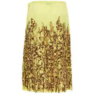 Dries Van Noten Salga Skirt