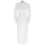 Max Mara Balzac Dress