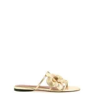 Zimmermann Orchid Slides