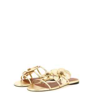 Zimmermann Orchid Slides