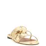 Zimmermann Orchid Slides