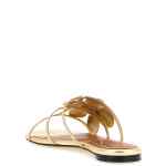 Zimmermann Orchid Slides