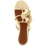 Zimmermann Orchid Slides