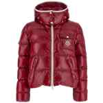 Moncler Andro Down Jacket