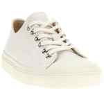 Moschino Canvas Sneakers