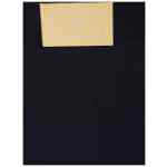 Elisabetta Franchi Shorts Black