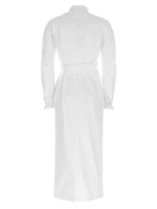 Max Mara Balzac Dress