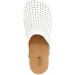 Balenciaga Clog X Scholl Sabots