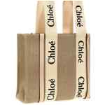 Chloé Woody Medium Shopping Bag