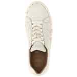 ChloÉ Lauren Sneakers