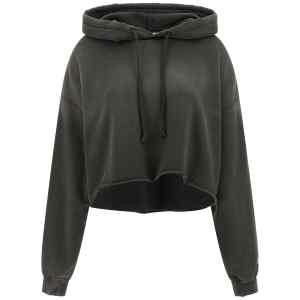 Star Golden Goose Hoodie