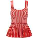 Elisabetta Franchi Tricot Top