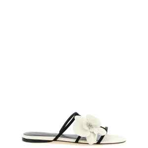 Zimmermann Orchid Slides