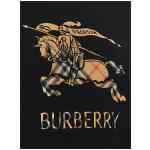 Burberry Simon Hoodie