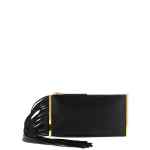 Elisabetta Franchi Fringed Clutch