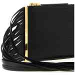 Elisabetta Franchi Fringed Clutch