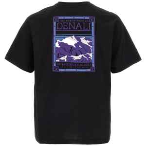 The North Face North Faces T-shirt