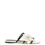 Zimmermann Orchid Slides